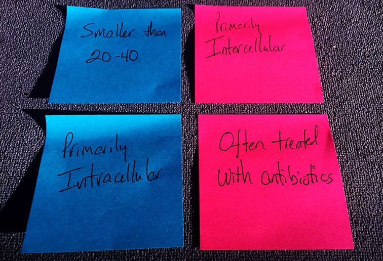 5 Fun Ways Science Teachers Use Post-its in the Classroom